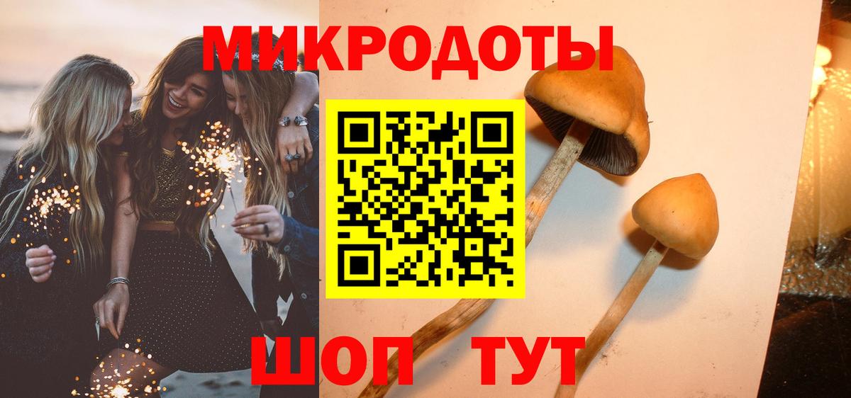 Галлюциногенные грибы GOLDEN TEACHER  купить наркотик  Октябрьский  Вход с VPN 